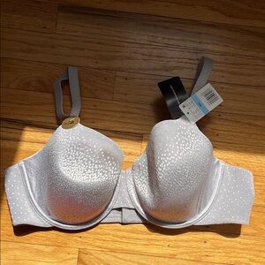 Wacoal Light Gray Molded Cup Bra with Subtle Dot Pattern